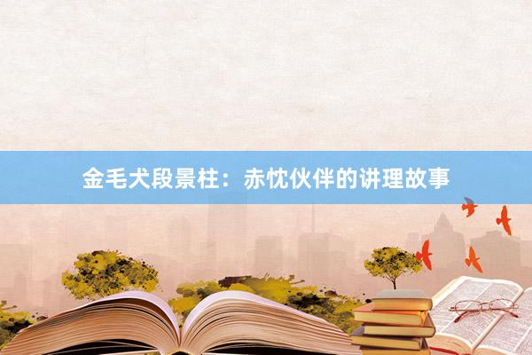 金毛犬段景柱：赤忱伙伴的讲理故事